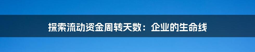探索流动资金周转天数:企业的生命线