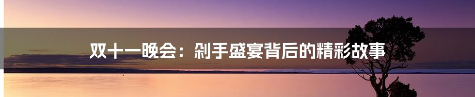 双十一晚会：剁手盛宴背后的精彩故事
