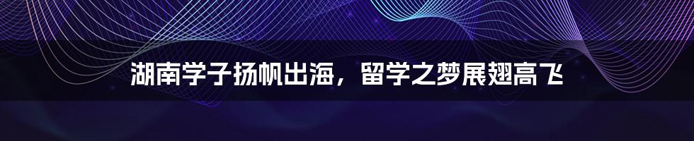 湖南学子扬帆出海,留学之梦展翅高飞
