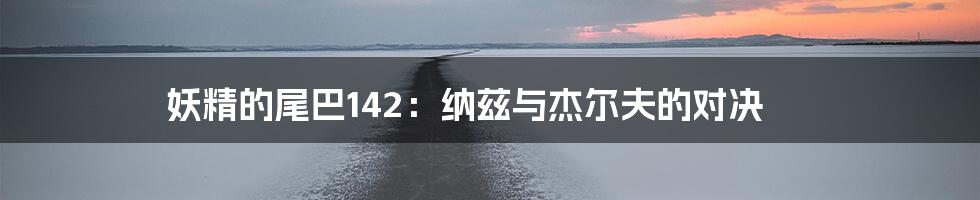 妖精的尾巴142:纳兹与杰尔夫的对决