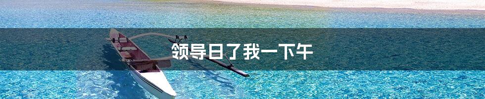 领导日了我一下午