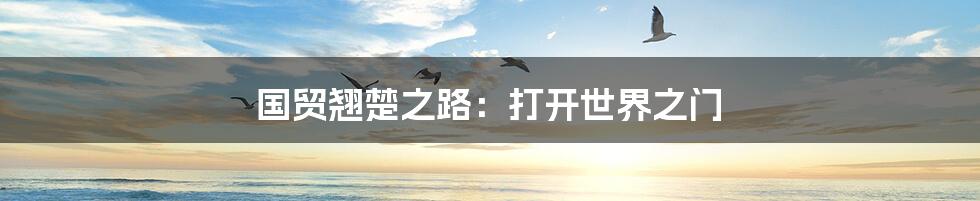 国贸翘楚之路：打开世界之门