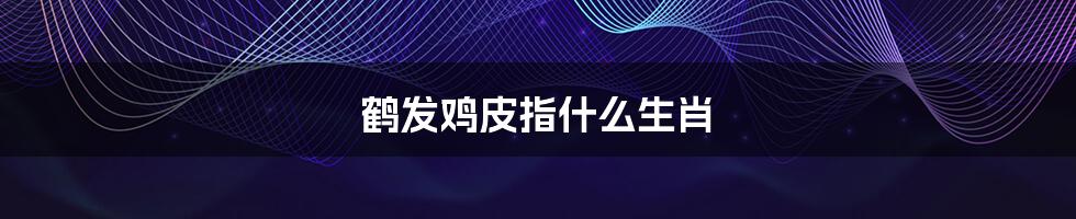 鹤发鸡皮指什么生肖