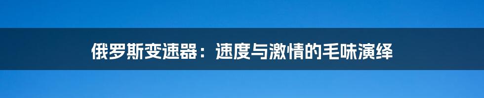俄罗斯变速器:速度与激情的毛味演绎