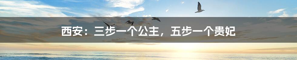 西安:三步一个公主,五步一个贵妃