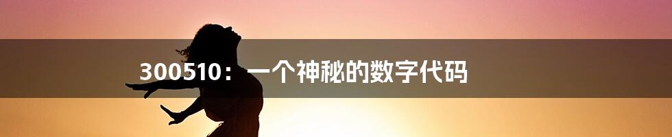 300510:一个神秘的数字代码
