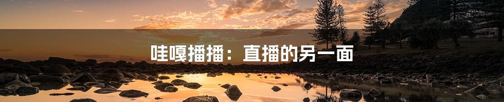 哇嘎播播:直播的另一面