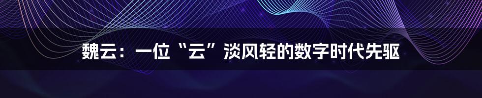 魏云：一位“云”淡风轻的数字时代先驱