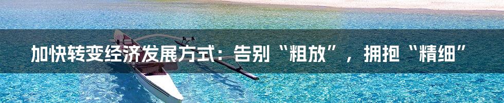 加快转变经济发展方式:告别“粗放”,拥抱“精细”