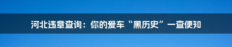 河北违章查询:你的爱车“黑历史”一查便知