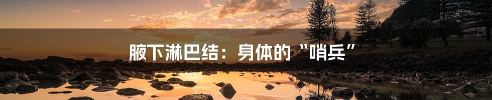 腋下淋巴结:身体的“哨兵”