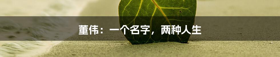 董伟:一个名字,两种人生