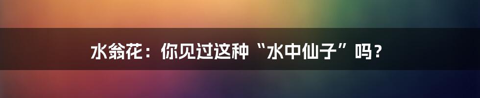 水翁花:你见过这种“水中仙子”吗?