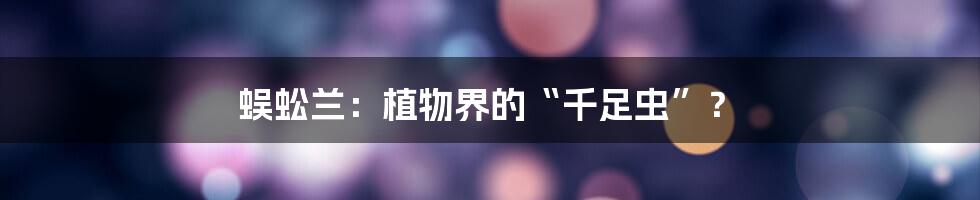 蜈蚣兰:植物界的“千足虫”?