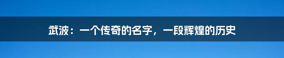 武波:一个传奇的名字,一段辉煌的历史
