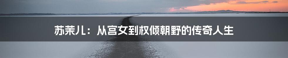 苏茉儿：从宫女到权倾朝野的传奇人生