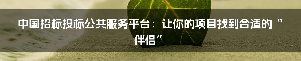 中国招标投标公共服务平台:让你的项目找到合适的“伴侣”