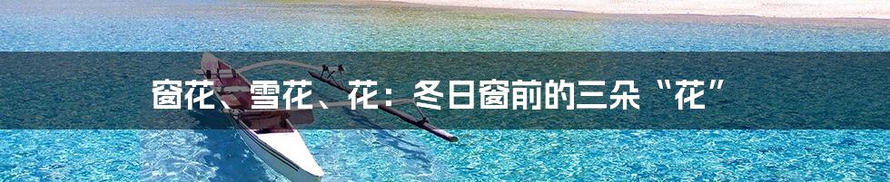 窗花、雪花、花:冬日窗前的三朵“花”