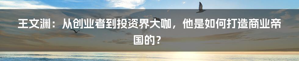 王文渊：从创业者到投资界大咖，他是如何打造商业帝国的？