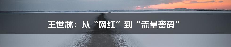 王世林:从“网红”到“流量密码”