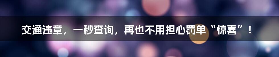 交通违章,一秒查询,再也不用担心罚单“惊喜”!