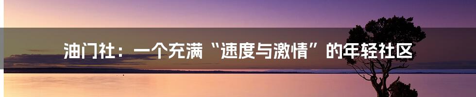 油门社：一个充满“速度与激情”的年轻社区