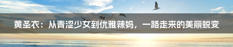 黄圣衣:从青涩少女到优雅辣妈,一路走来的美丽蜕变