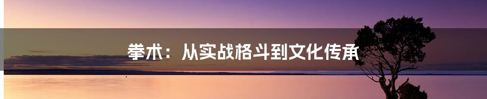 拳术：从实战格斗到文化传承