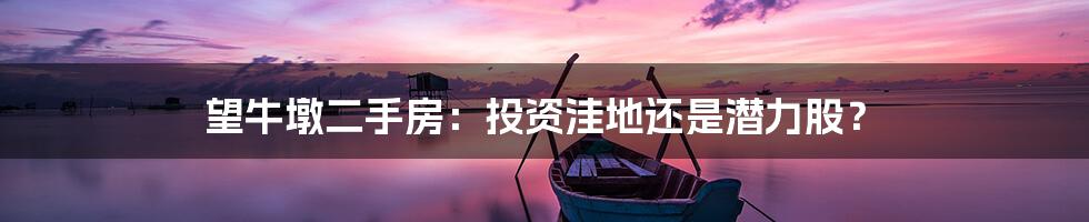 望牛墩二手房：投资洼地还是潜力股？