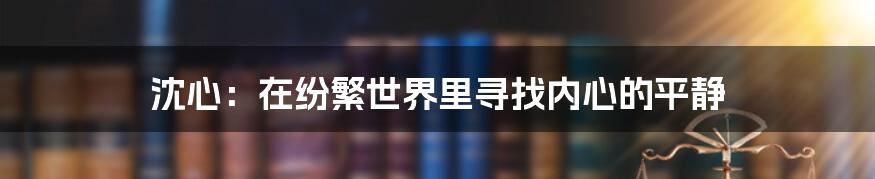 沈心:在纷繁世界里寻找内心的平静