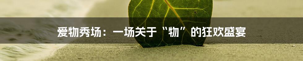 爱物秀场:一场关于“物”的狂欢盛宴