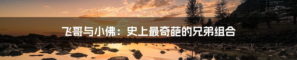 飞哥与小佛:史上最奇葩的兄弟组合