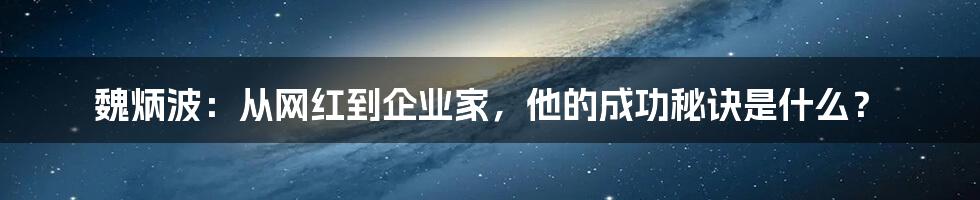 魏炳波：从网红到企业家，他的成功秘诀是什么？