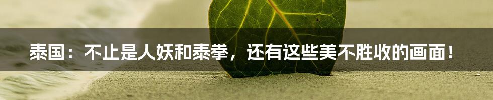 泰国:不止是人妖和泰拳,还有这些美不胜收的画面!