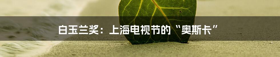 白玉兰奖:上海电视节的“奥斯卡”