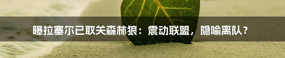 曝拉塞尔已取关森林狼:震动联盟,隐喻离队?