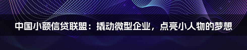 中国小额信贷联盟:撬动微型企业,点亮小人物的梦想