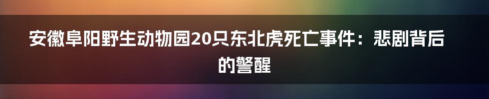 安徽阜阳野生动物园20只东北虎死亡事件:悲剧背后的警醒