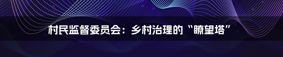 村民监督委员会：乡村治理的“瞭望塔”
