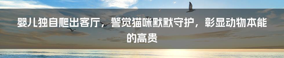 婴儿独自爬出客厅,警觉猫咪默默守护,彰显动物本能的高贵