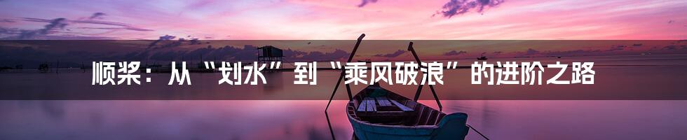 顺桨:从“划水”到“乘风破浪”的进阶之路