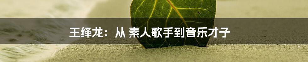 王绎龙：从 素人歌手到音乐才子