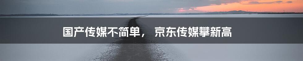 国产传媒不简单, 京东传媒攀新高
