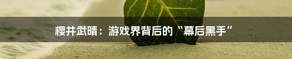 樱井武晴:游戏界背后的“幕后黑手”