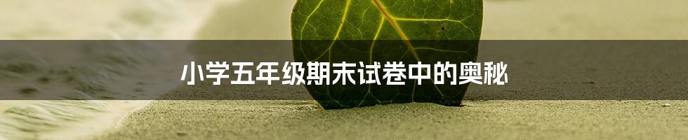 小学五年级期末试卷中的奥秘