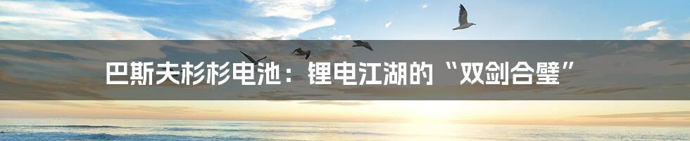 巴斯夫杉杉电池：锂电江湖的“双剑合璧”