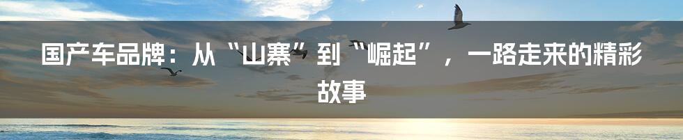 国产车品牌：从“山寨”到“崛起”，一路走来的精彩故事