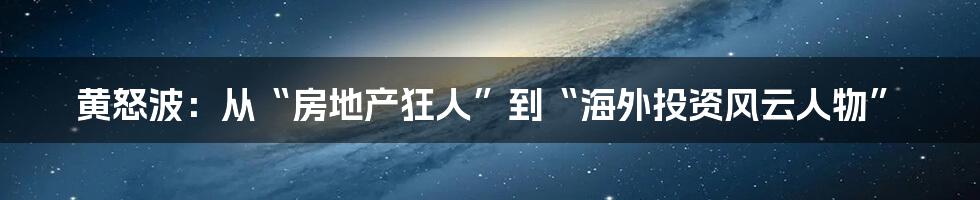 黄怒波:从“房地产狂人”到“海外投资风云人物”