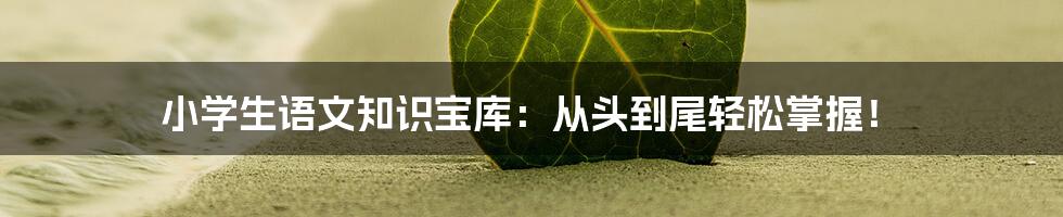 小学生语文知识宝库:从头到尾轻松掌握!