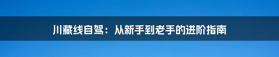 川藏线自驾:从新手到老手的进阶指南